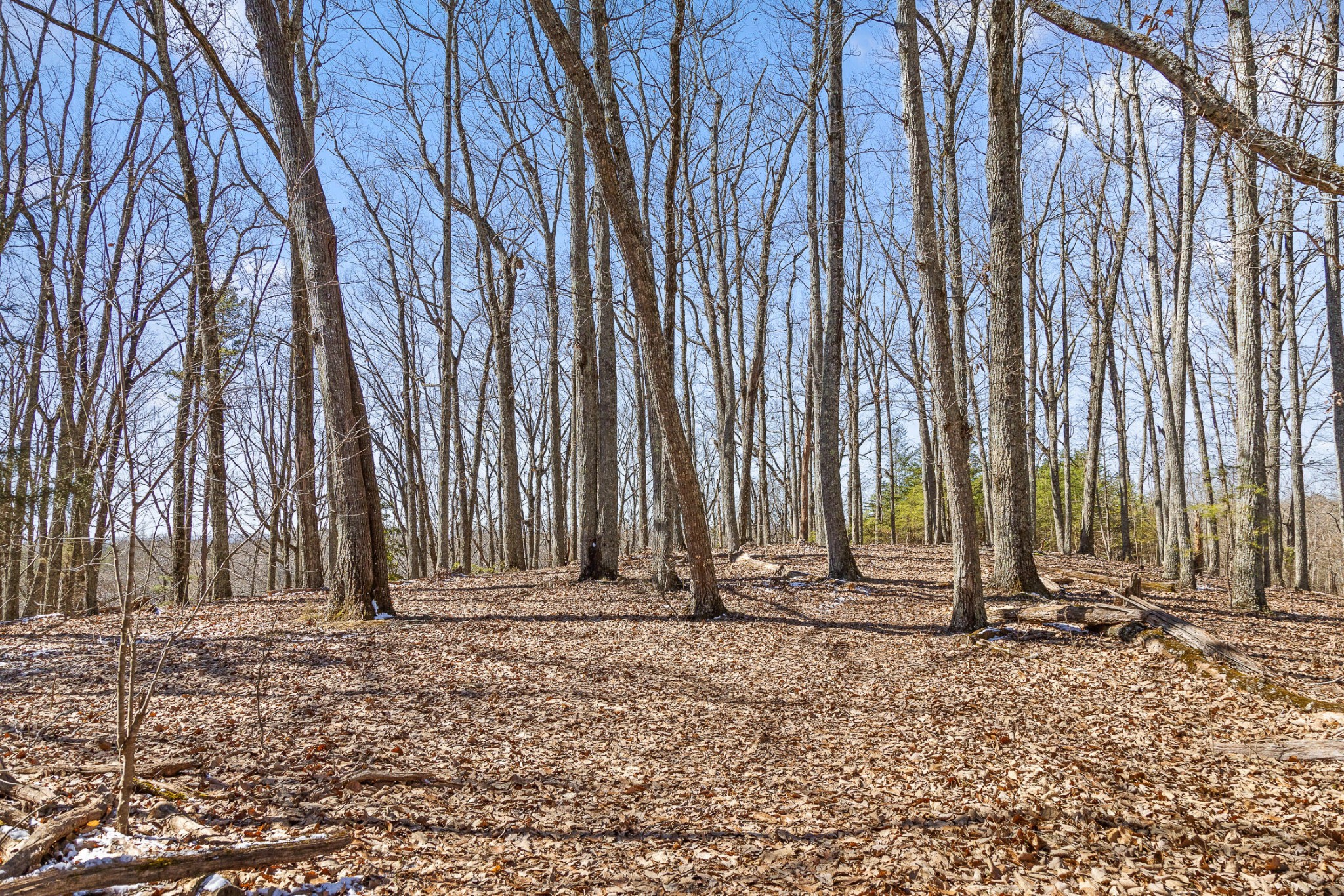 0 Andy Thomas Road Dayton, TN 37321 - Photo 15 of 45