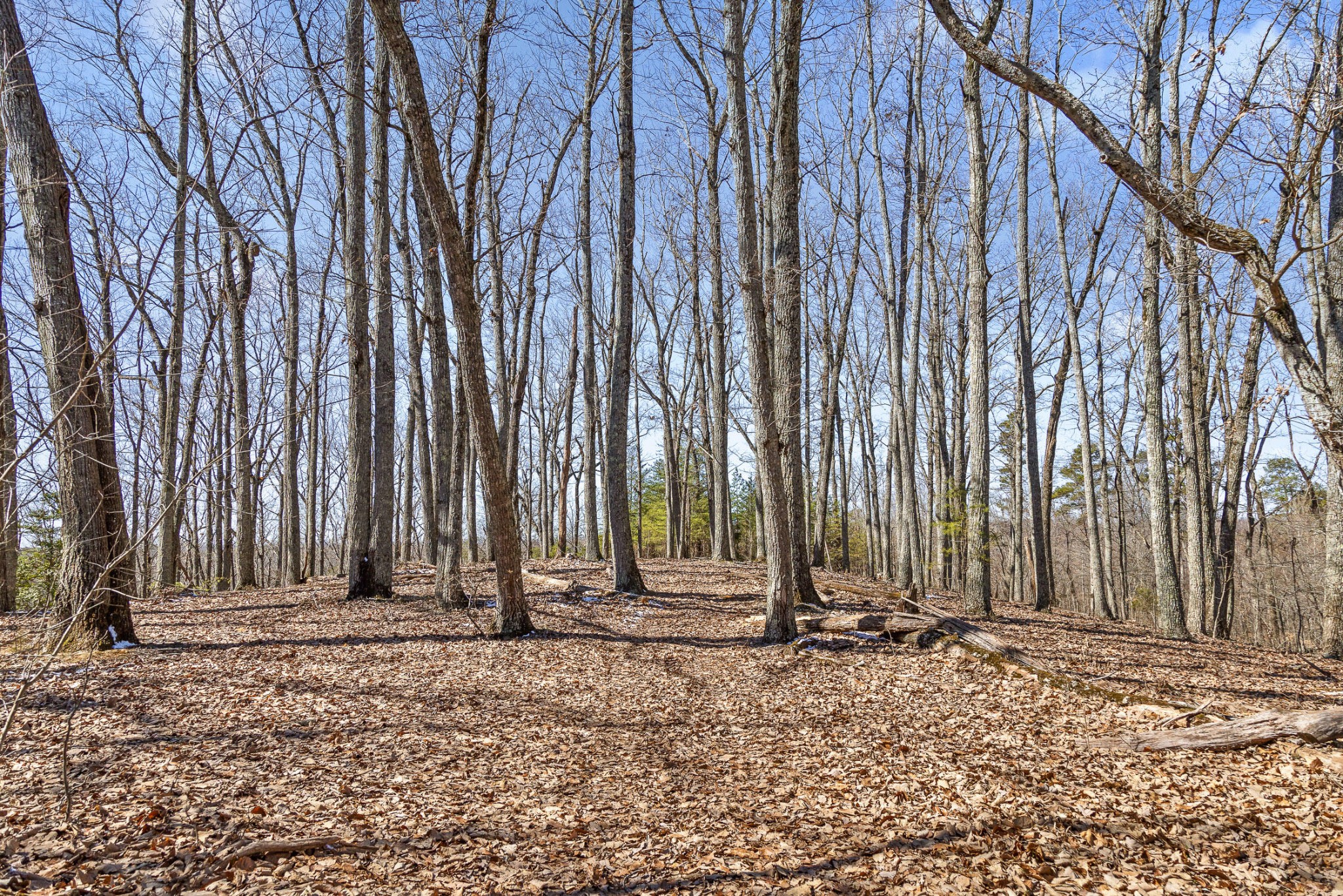 0 Andy Thomas Road Dayton, TN 37321 - Photo 16 of 45