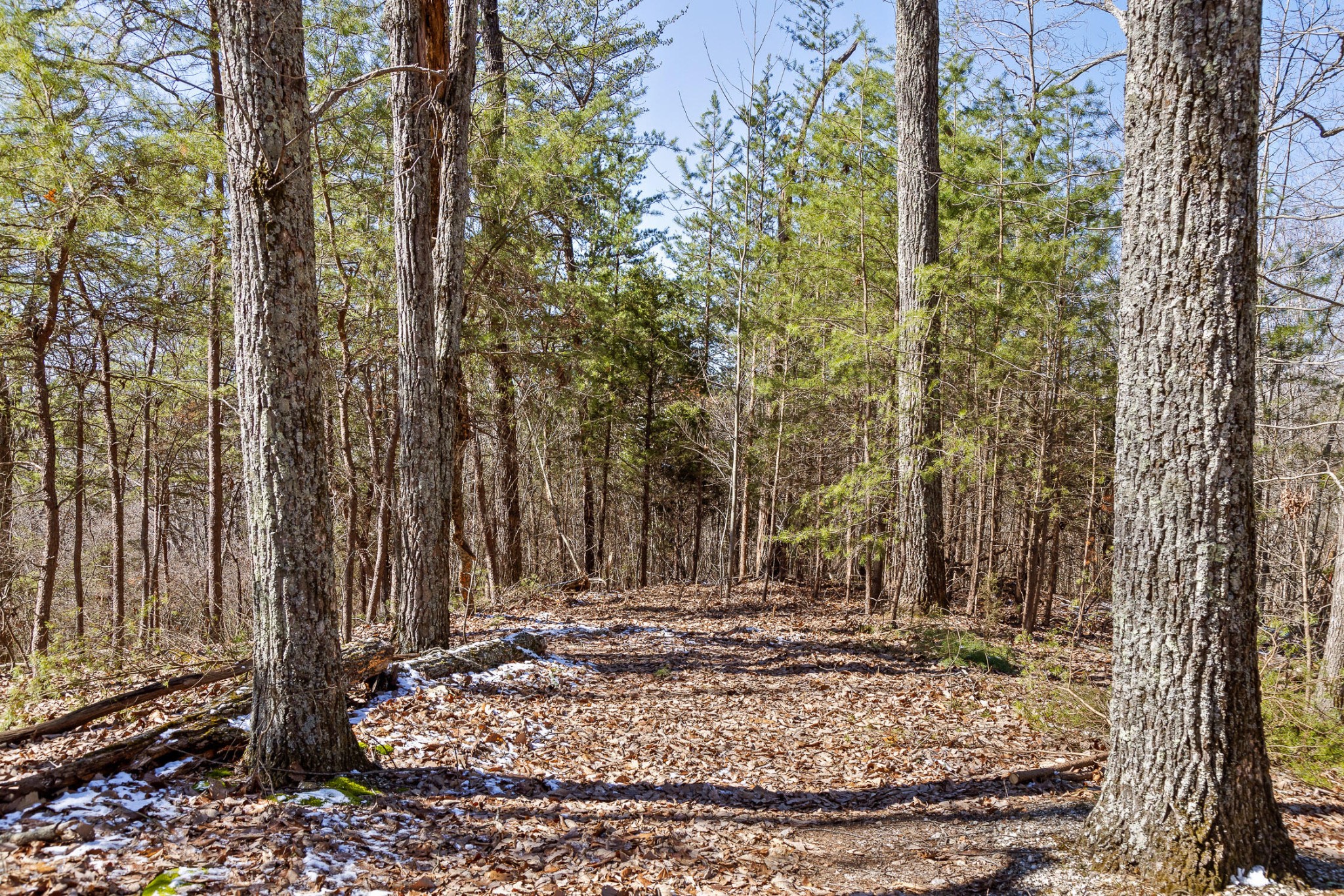 0 Andy Thomas Road Dayton, TN 37321 - Photo 22 of 45