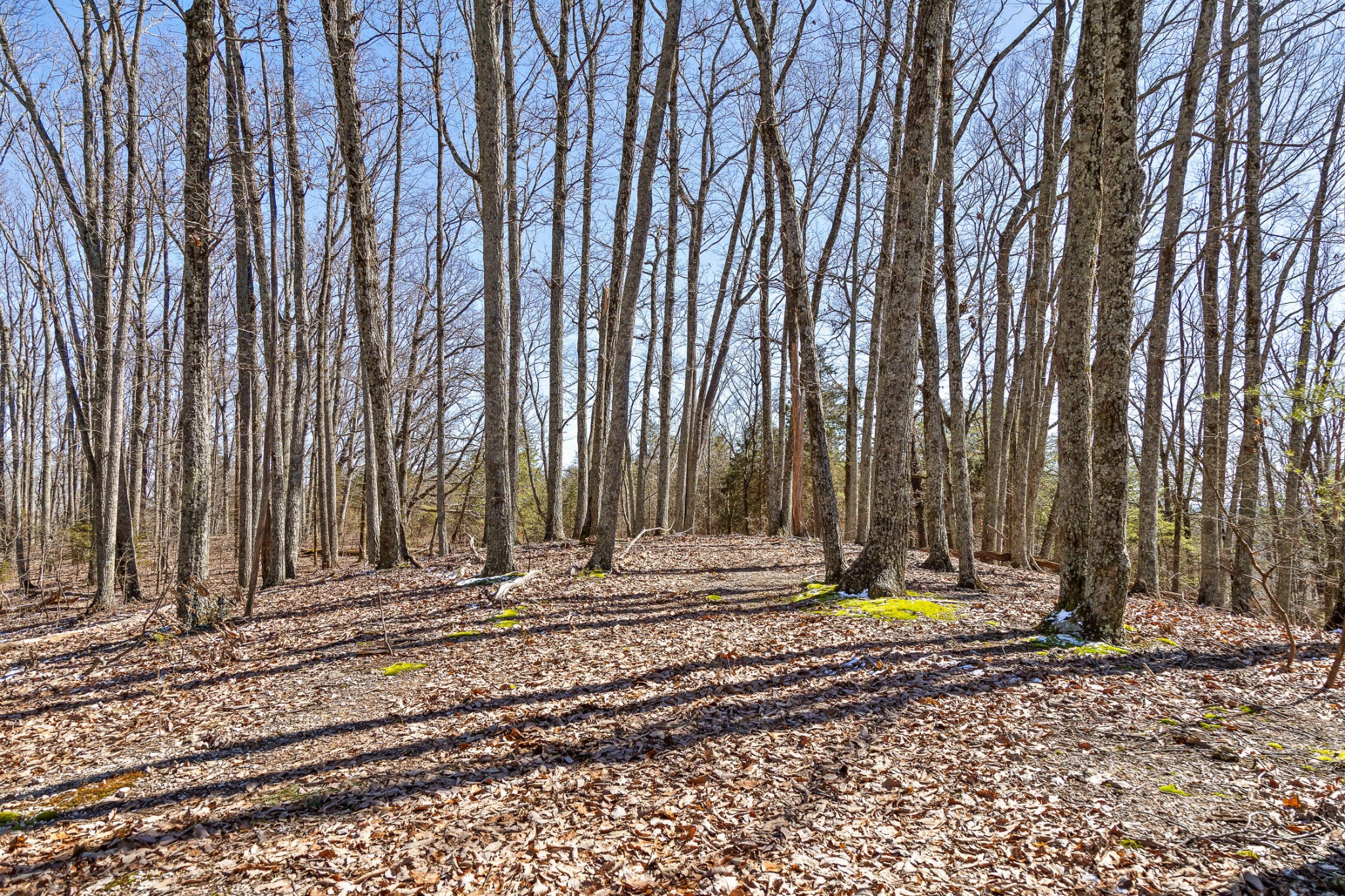 0 Andy Thomas Road Dayton, TN 37321 - Photo 23 of 45