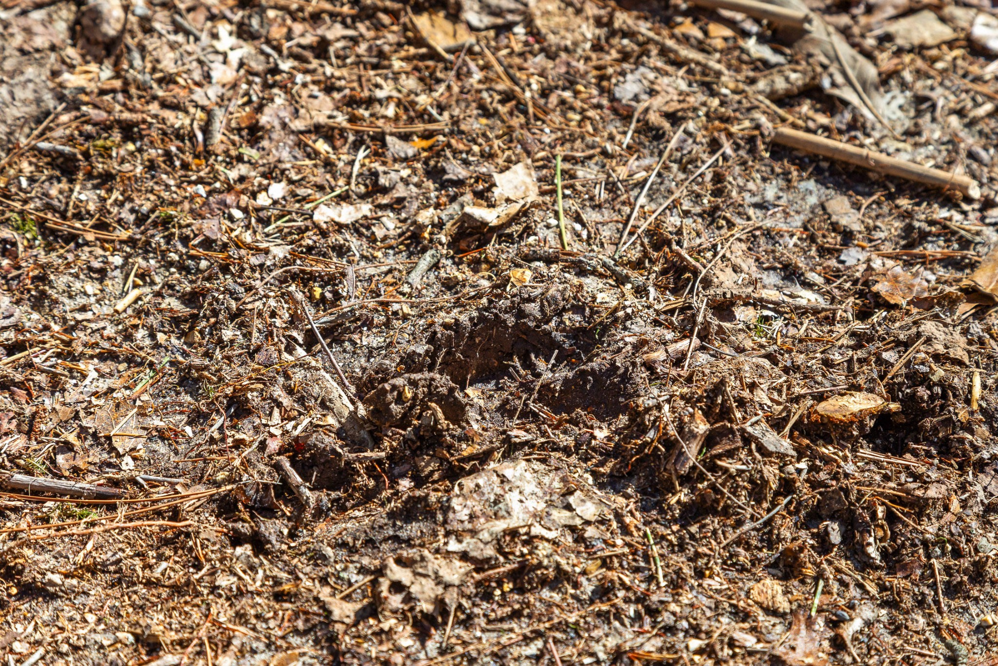 0 Andy Thomas Road Dayton, TN 37321 - Photo 26 of 45