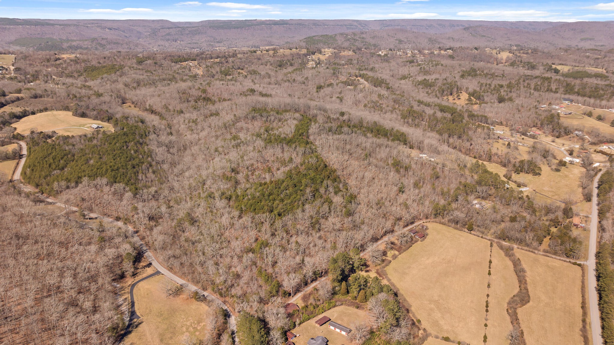 0 Andy Thomas Road Dayton, TN 37321 - Photo 29 of 45