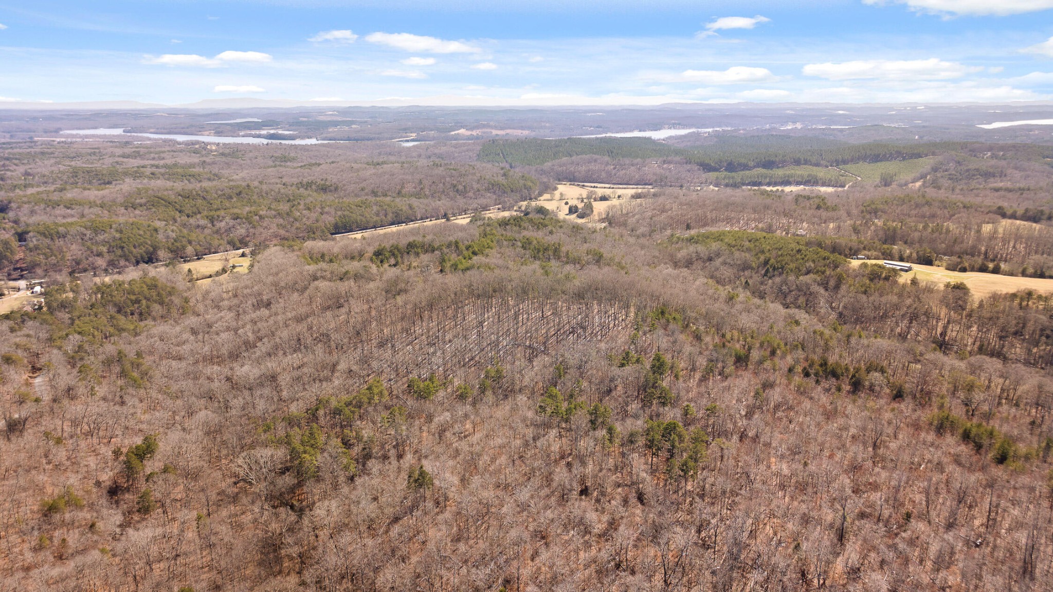 0 Andy Thomas Road Dayton, TN 37321 - Photo 38 of 45