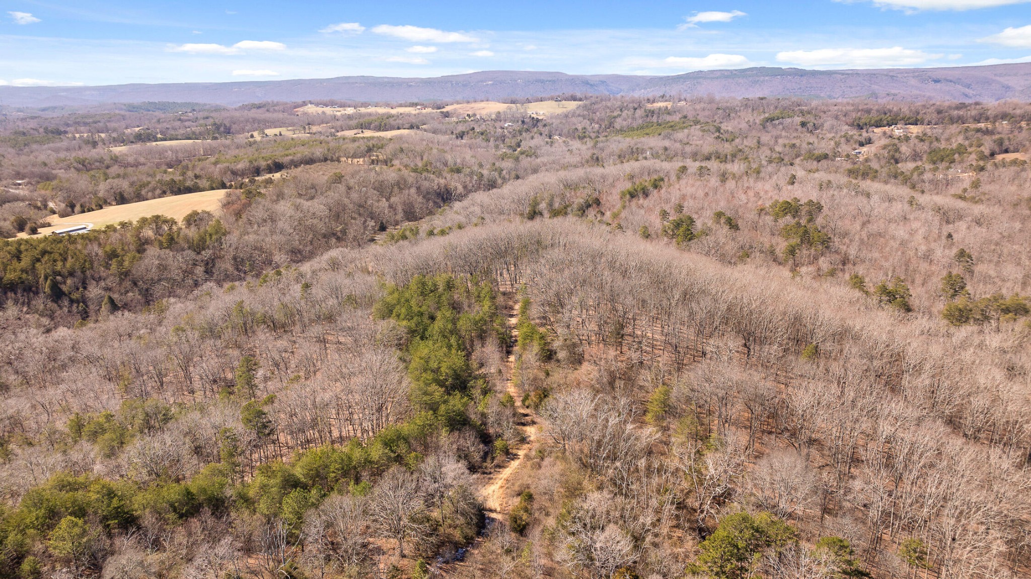 0 Andy Thomas Road Dayton, TN 37321 - Photo 39 of 45