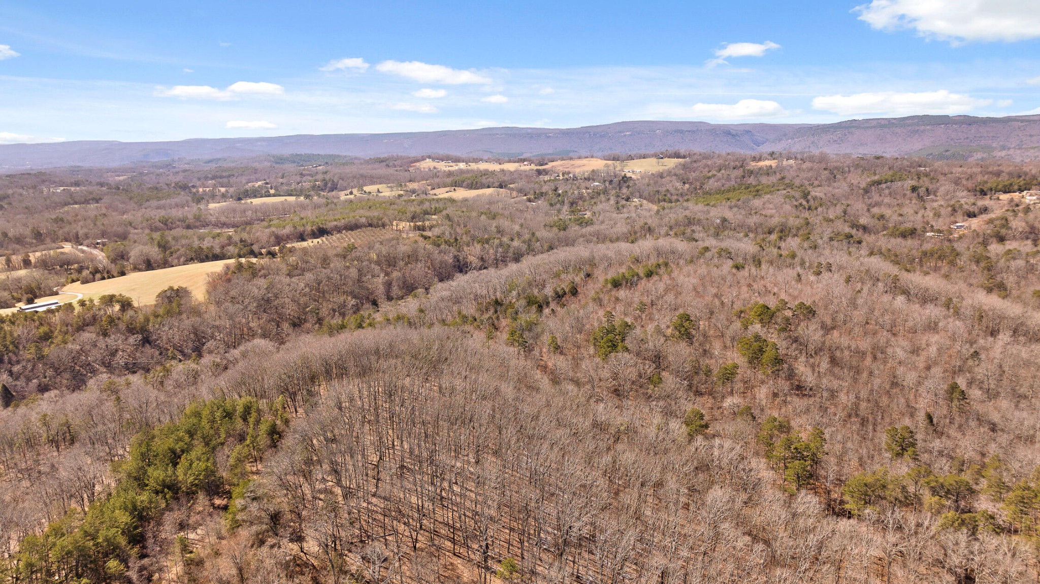 0 Andy Thomas Road Dayton, TN 37321 - Photo 40 of 45