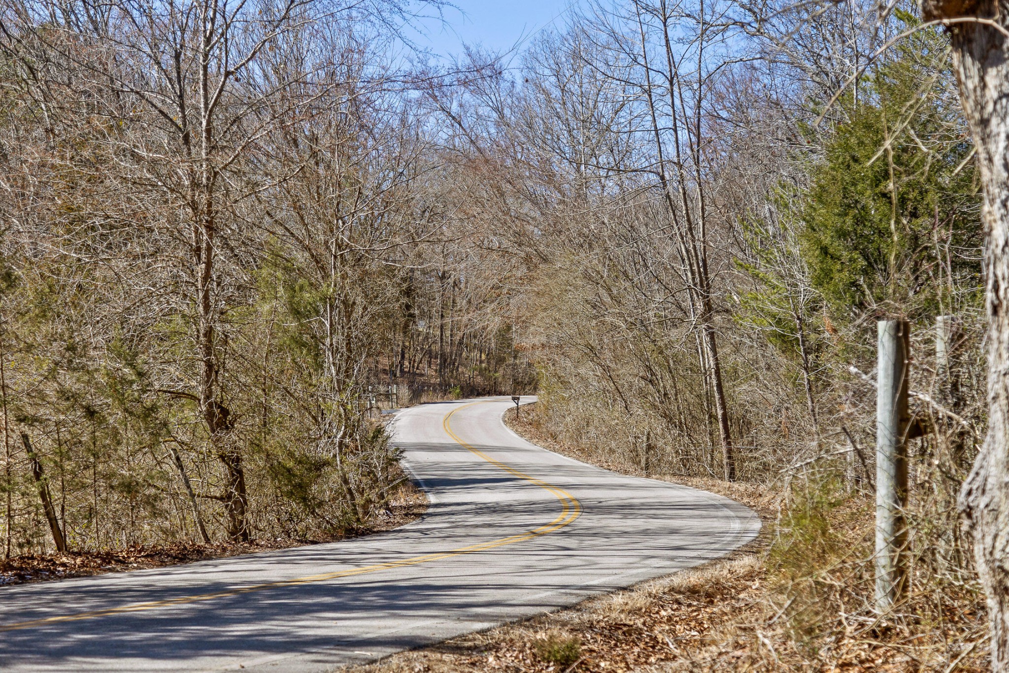 0 Andy Thomas Road Dayton, TN 37321 - Photo 5 of 45