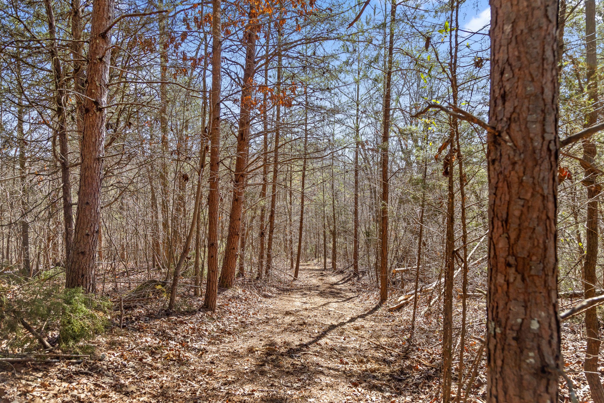 0 Andy Thomas Road Dayton, TN 37321 - Photo 8 of 45