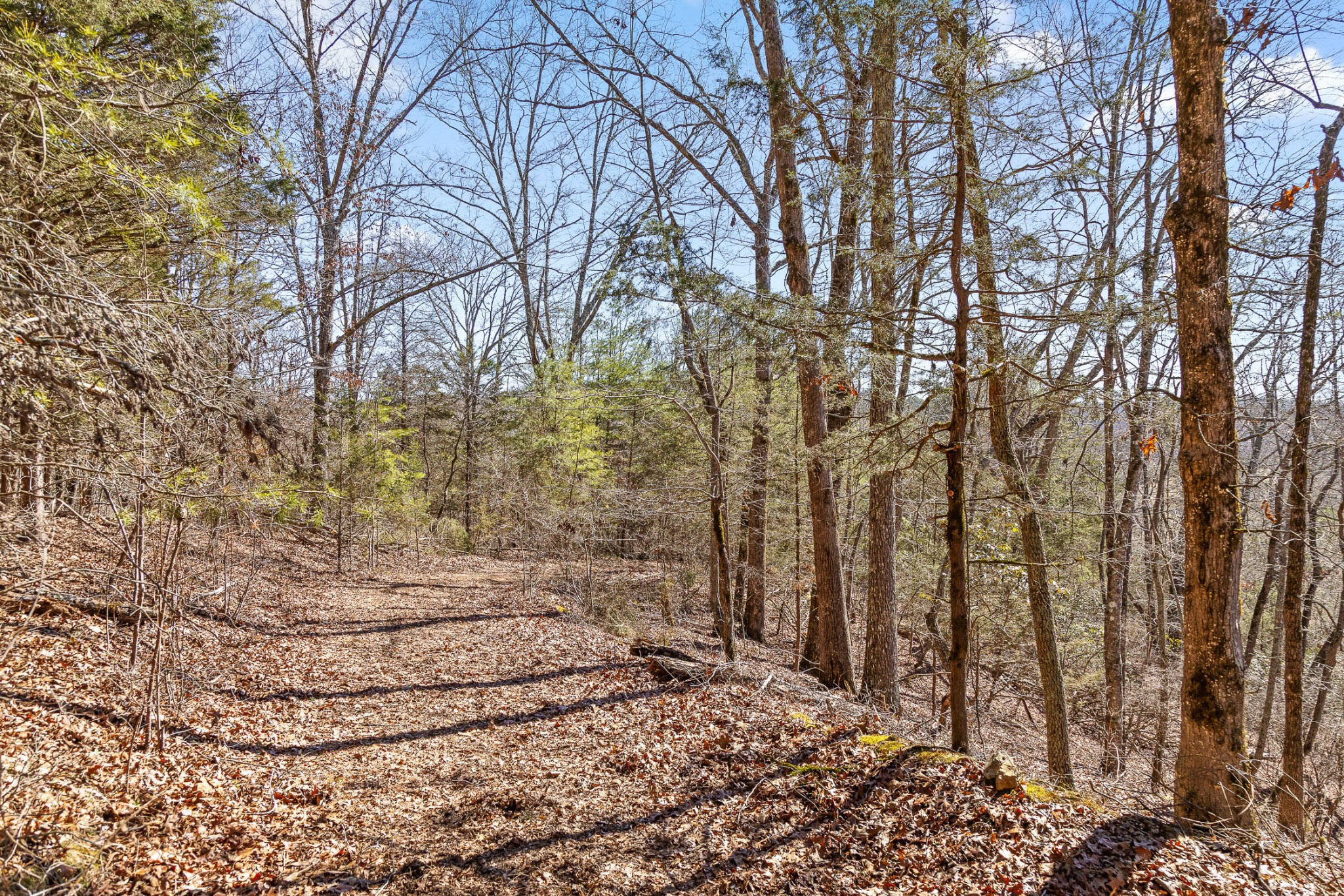 0 Andy Thomas Road Dayton, TN 37321 - Photo 9 of 45