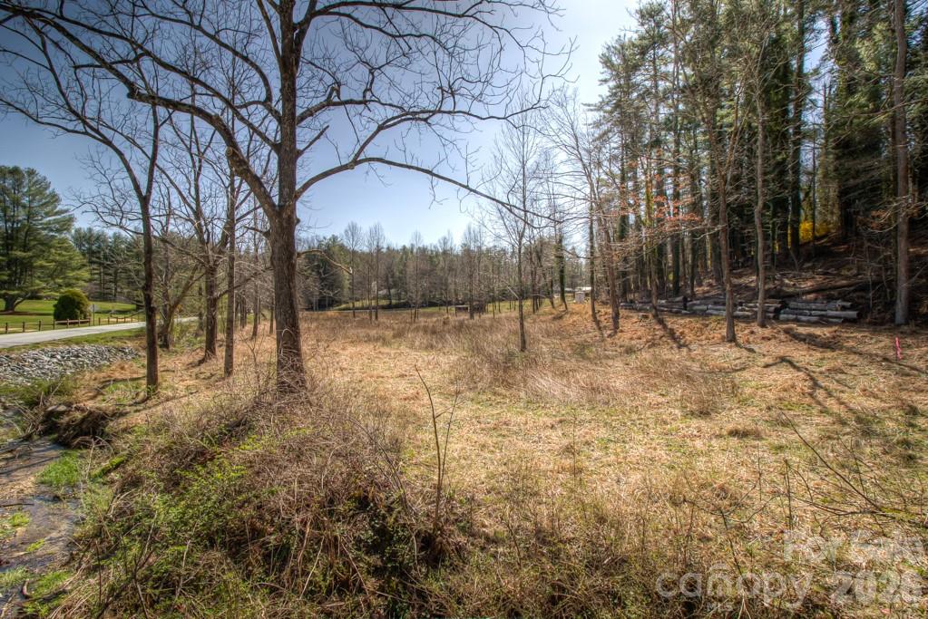 9999 Kanuga Lake Road Hendersonville, NC 28739 - Photo 1 of 12