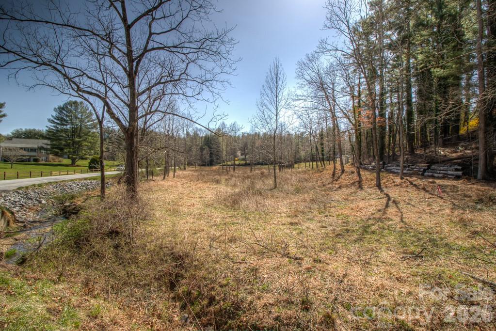 9999 Kanuga Lake Road Hendersonville, NC 28739 - Photo 11 of 12