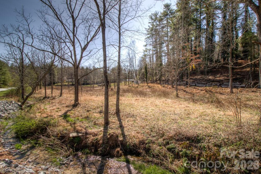 9999 Kanuga Lake Road Hendersonville, NC 28739 - Photo 12 of 12