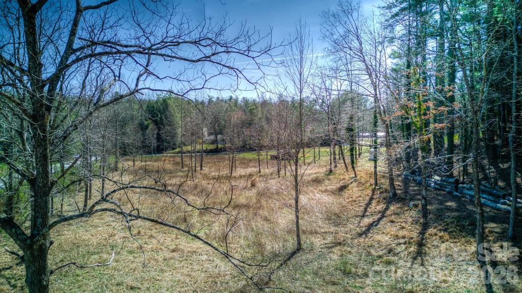 9999 Kanuga Lake Road Hendersonville, NC 28739 - Photo 2 of 12