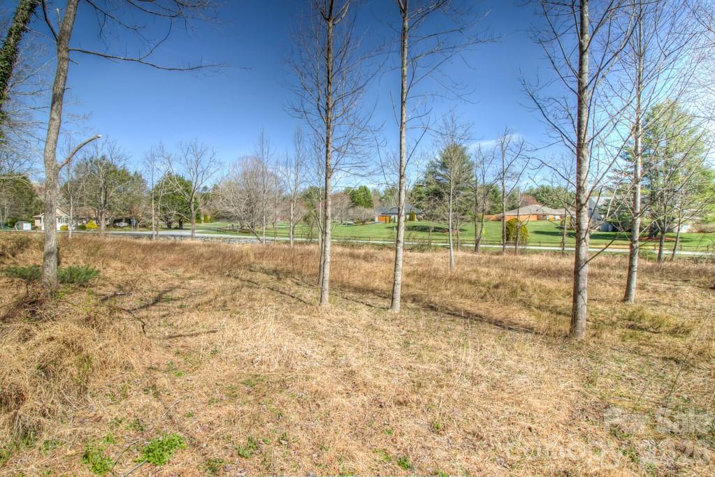 9999 Kanuga Lake Road Hendersonville, NC 28739 - Photo 3 of 12