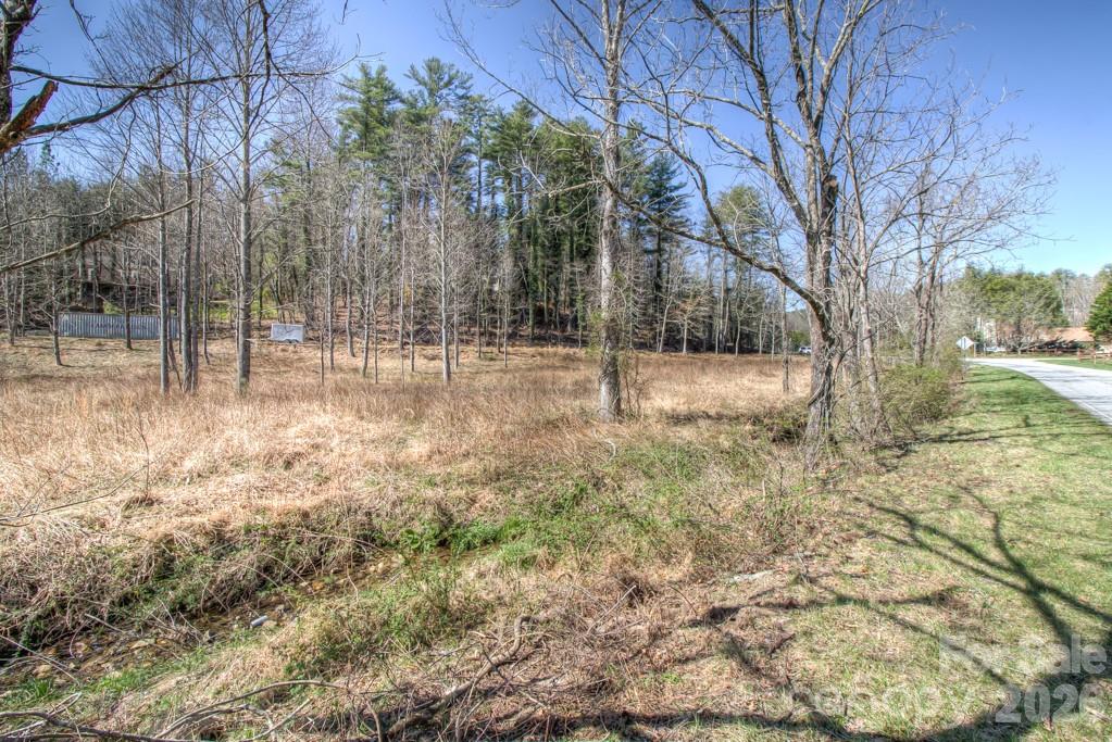 9999 Kanuga Lake Road Hendersonville, NC 28739 - Photo 4 of 12