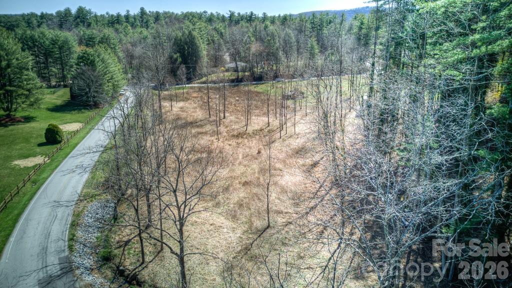 9999 Kanuga Lake Road Hendersonville, NC 28739 - Photo 5 of 12