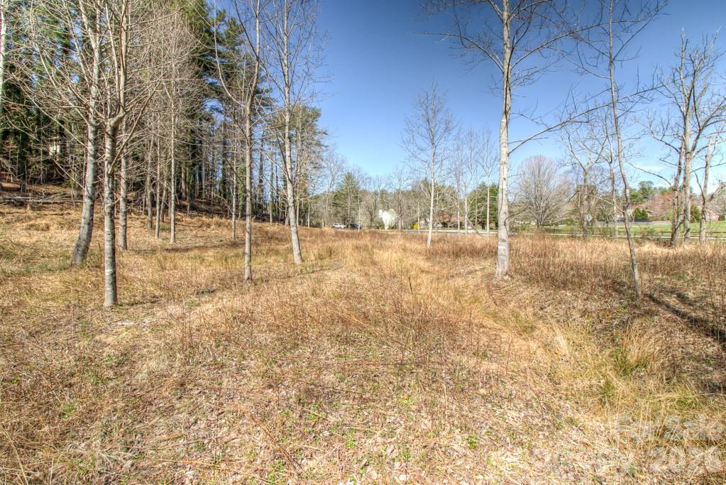 9999 Kanuga Lake Road Hendersonville, NC 28739 - Photo 7 of 12