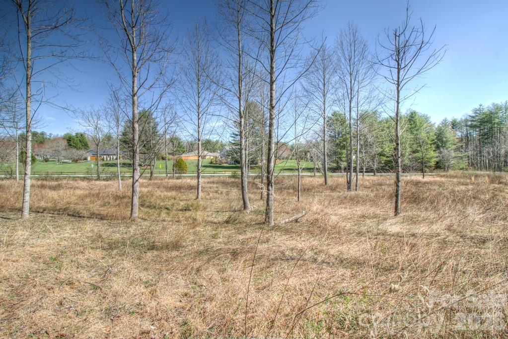 9999 Kanuga Lake Road Hendersonville, NC 28739 - Photo 8 of 12