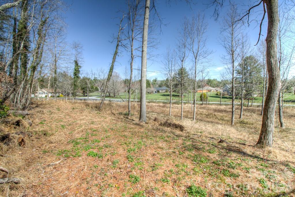 9999 Kanuga Lake Road Hendersonville, NC 28739 - Photo 9 of 12