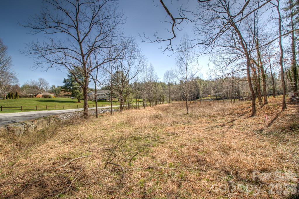 9999 Kanuga Lake Road Hendersonville, NC 28739 - Photo 10 of 12