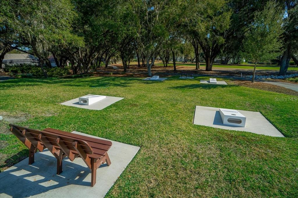 922 Soledad Way The Villages, FL 32159 - Photo 78 of 82