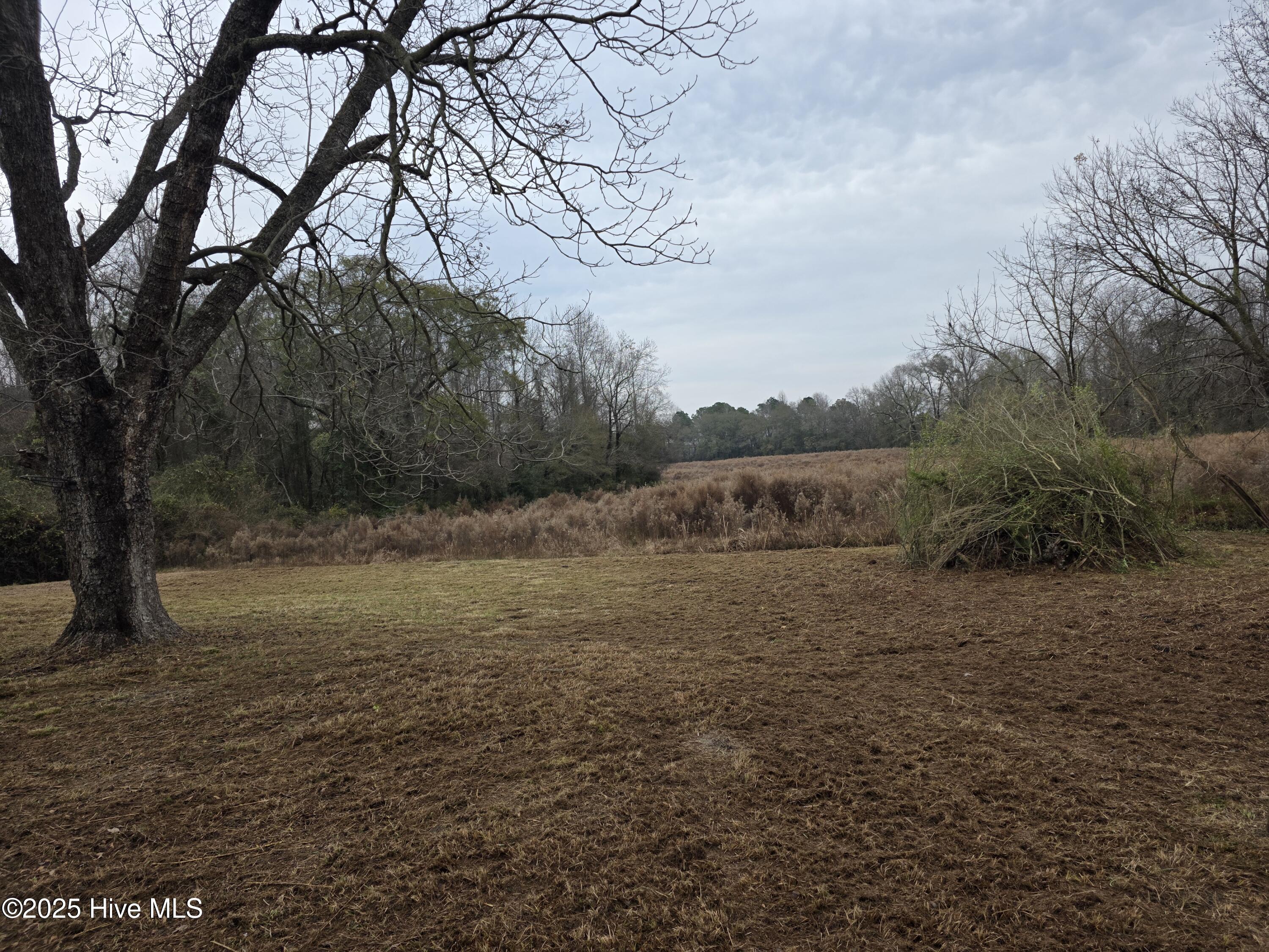 557 Church Road Pink Hill, NC 28572 - Photo 5 of 9 3458
