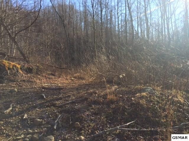 36 Round Mountain Del Rio, TN 37727 - Photo 3 of 8 Gallery Image 3