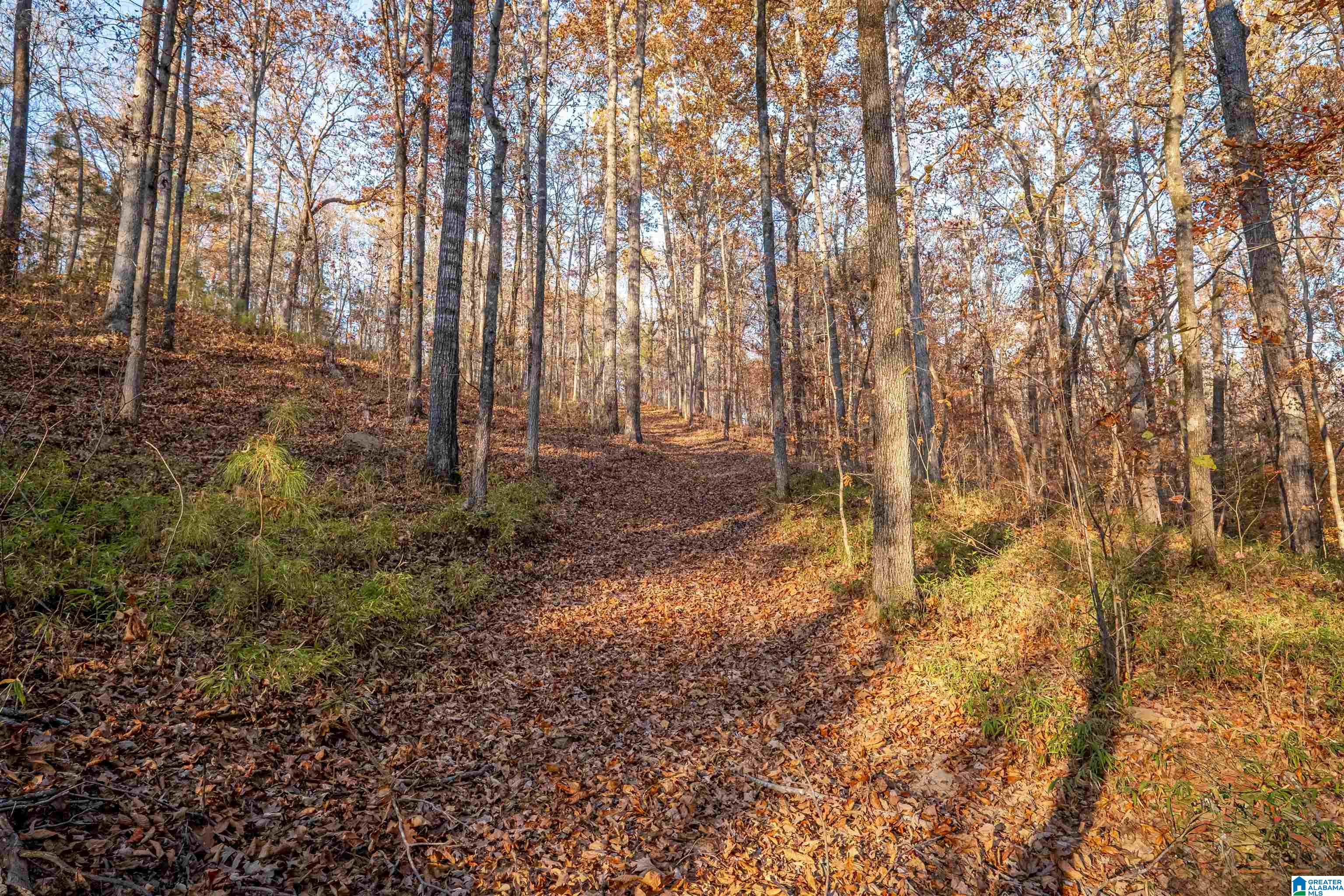 1595 Mohawk Cliff Road Ohatchee, AL 36271 - Photo 65 of 65