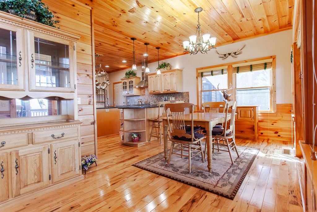 594 Brasstown View Road Murphy, NC 28906 - Photo 28 of 93