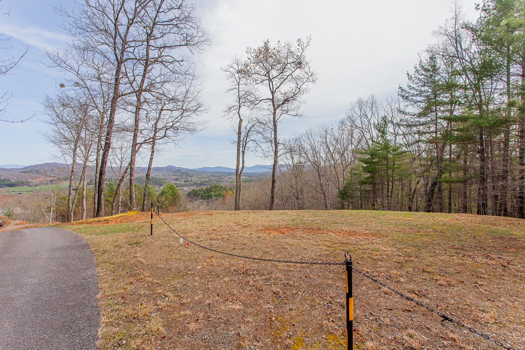 594 Brasstown View Road Murphy, NC 28906 - Photo 92 of 93
