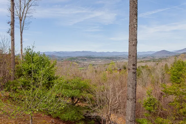 $899,000 | 594 Brasstown View Road, Murphy, NC 28906