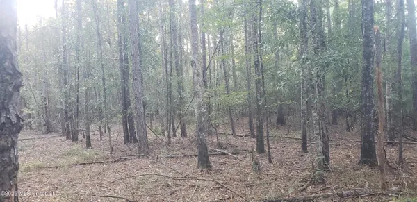 $14,887 | Alden Ln Summit, Summit, MS 39666