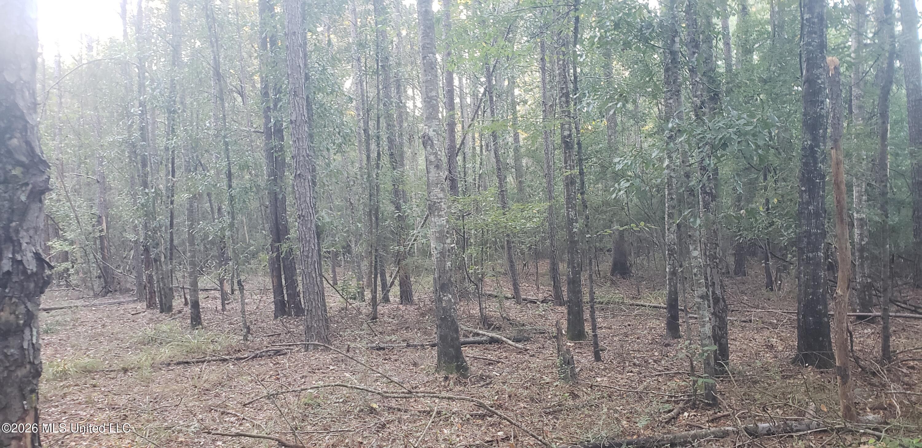 Alden Ln Summit Summit, MS 39666 - Photo 1 of 3 20240927_180059