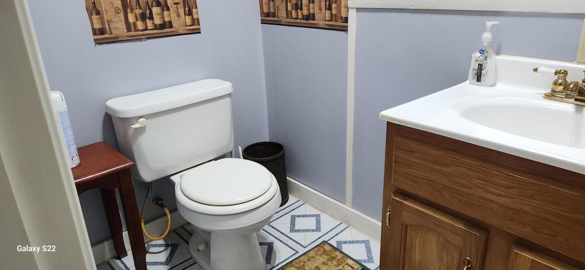 8321 Jackson River Road Hot Springs, VA 24445 - Photo 20 of 21 Half Bathroom