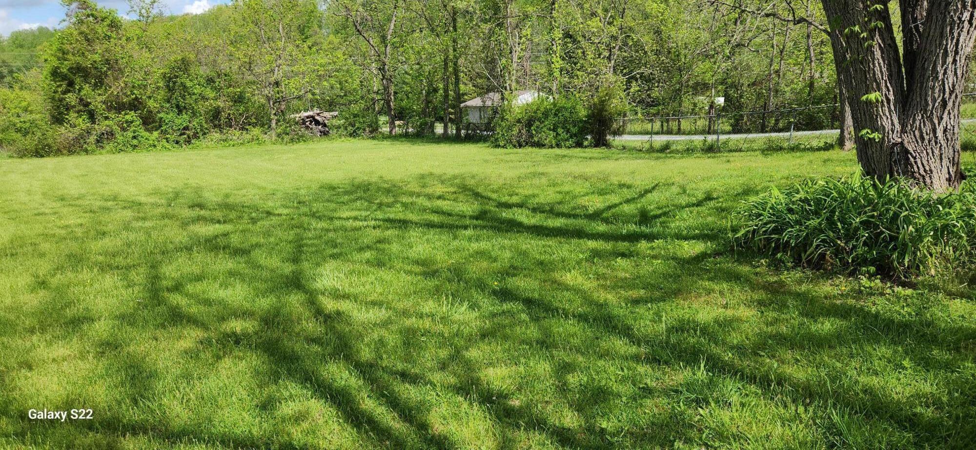 8321 Jackson River Road Hot Springs, VA 24445 - Photo 7 of 21 Yard