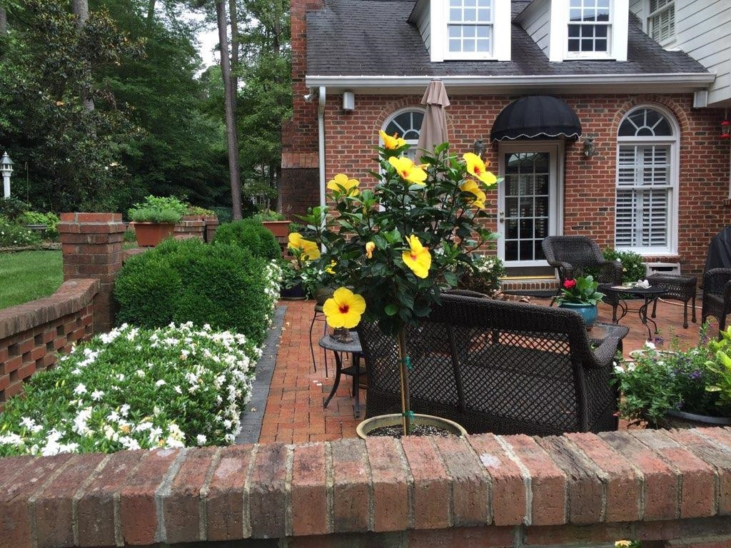 300 Dunstable Court Raleigh, NC 27614 - Photo 19 of 21 Photo 22