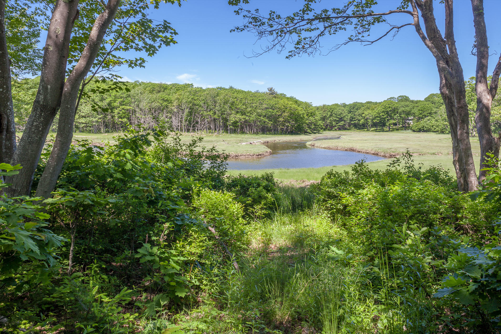 6 Shore Road Biddeford, ME 04005 - Photo 43 of 44 oceanview_6shorerdbiddefordpool_rs_web-0