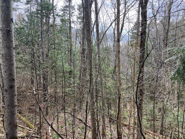 123 High Top Road, Unit B123 Wilmington, VT 05363 - Photo 1 of 44
