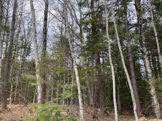 123 High Top Road, Unit B123 Wilmington, VT 05363 - Photo 2 of 44
