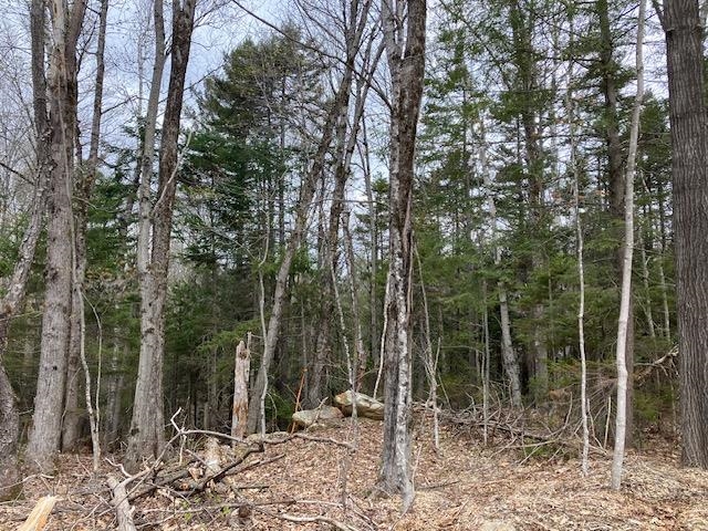 123 High Top Road, Unit B123 Wilmington, VT 05363 - Photo 3 of 44