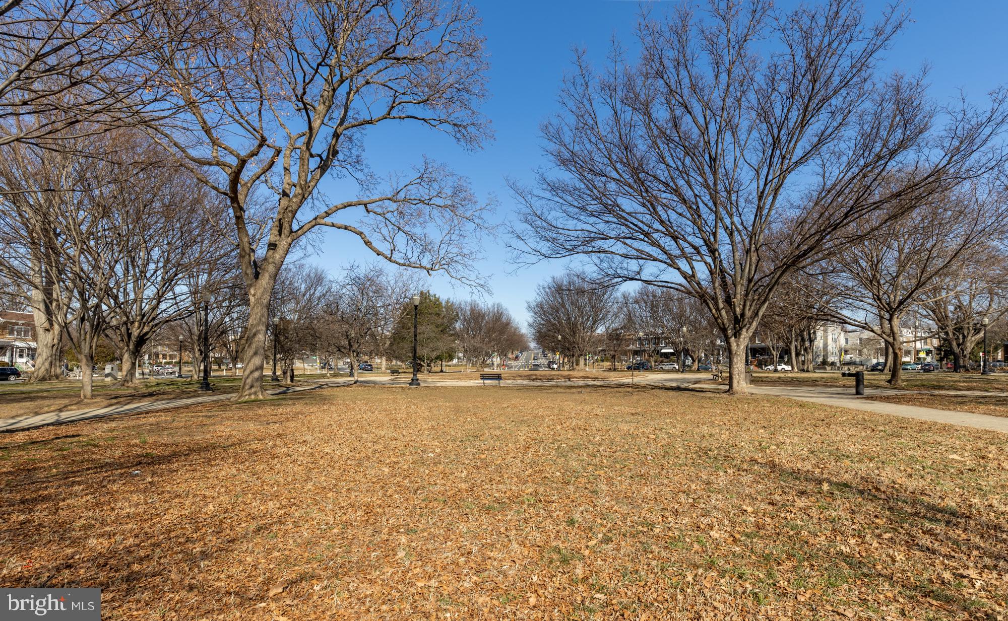 720 Webster Street Northwest Washington, DC 20011 - Photo 46 of 51 a view of a yard with a tree
