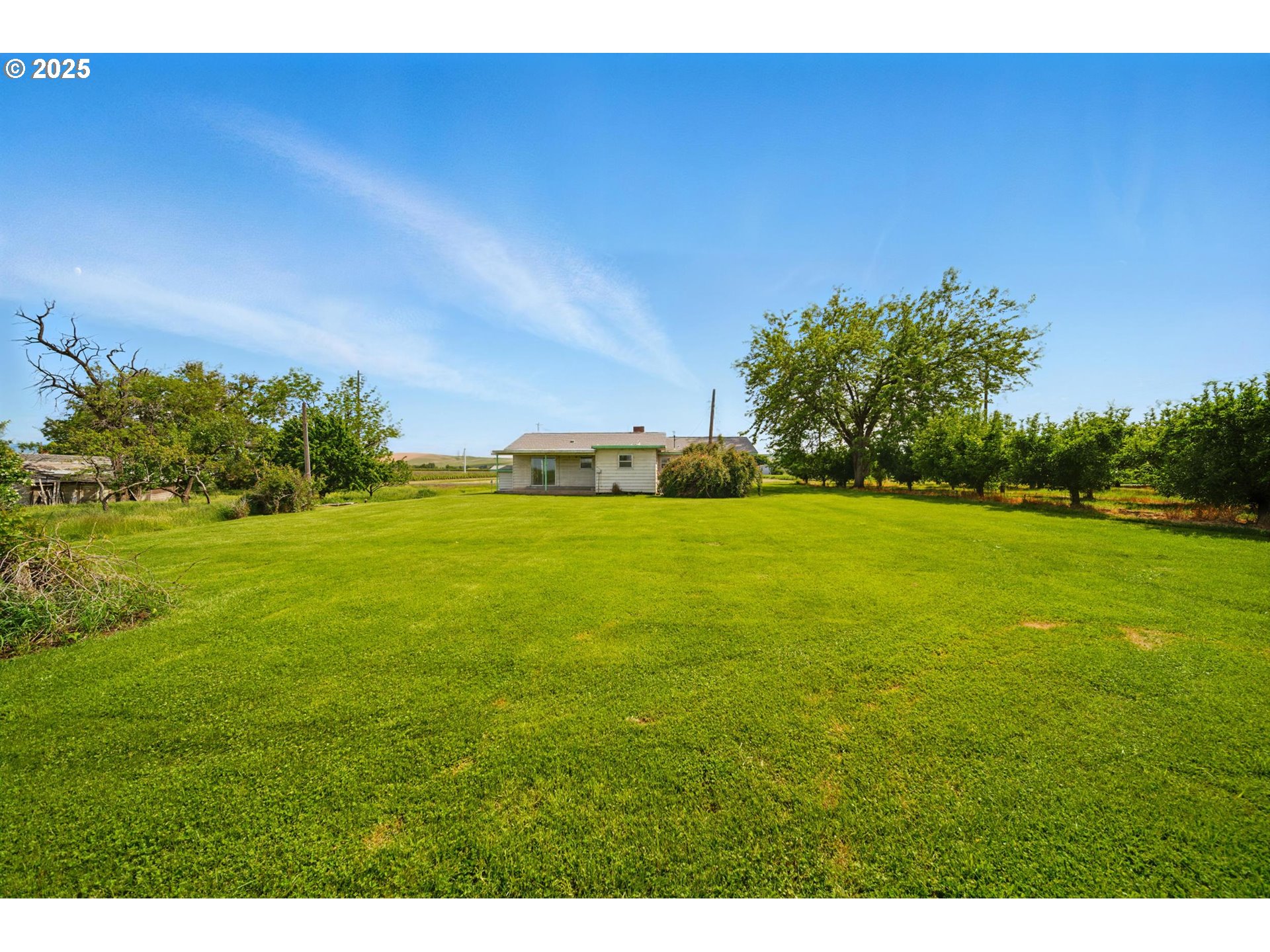 52357 Pleasant View Road Milton Freewater, OR 97862 - Photo 32 of 40 a view of a big yard with large trees
