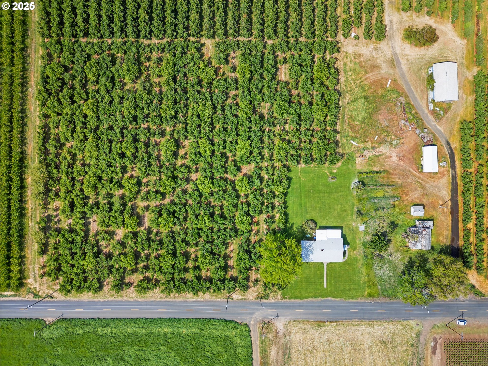 52357 Pleasant View Road Milton Freewater, OR 97862 - Photo 39 of 40 a view of a yard