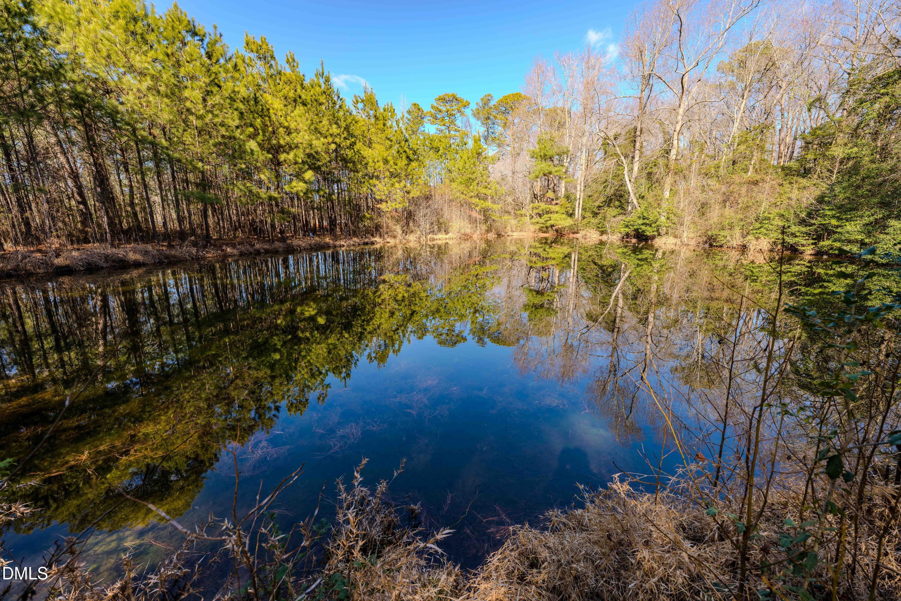 6724 Wimberly Road Willow Spring, NC 27592 - Photo 31 of 36 a view of lake