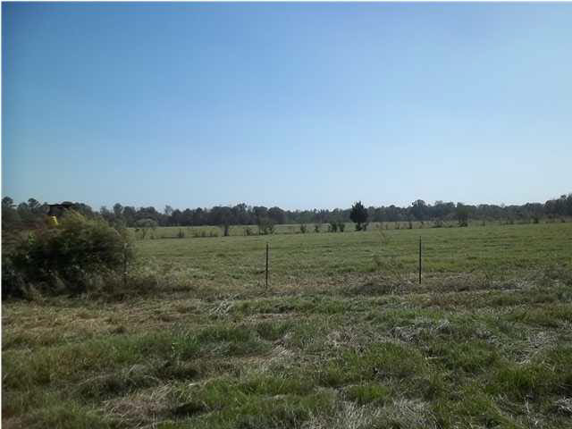 1351 Hall Road Forest, MS 39074 - Photo 14 of 18 Photo 14