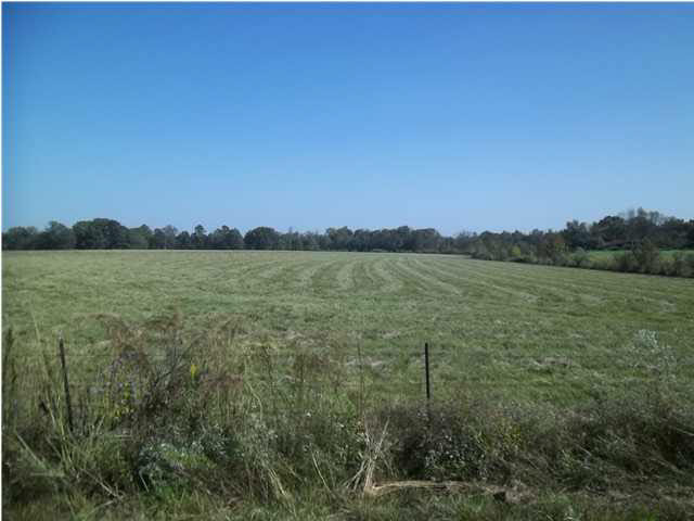 1351 Hall Road Forest, MS 39074 - Photo 17 of 18 Photo 17