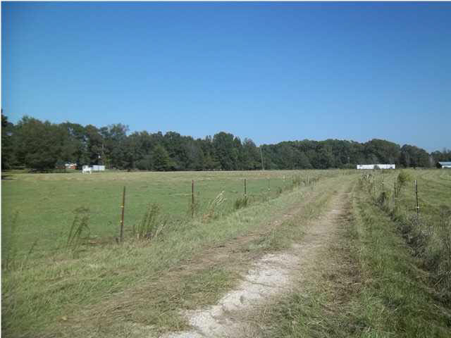 1351 Hall Road Forest, MS 39074 - Photo 2 of 18 Land is fenced and cross fenced