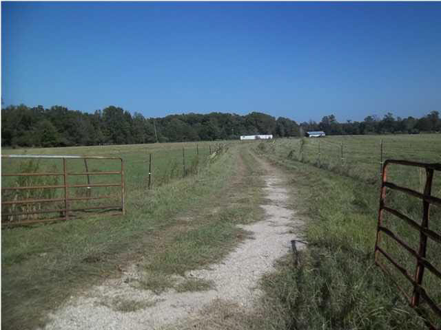 1351 Hall Road Forest, MS 39074 - Photo 3 of 18 Photo 3