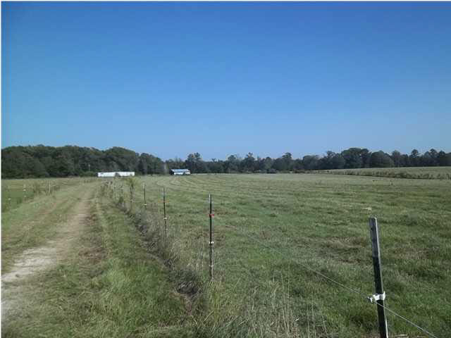 1351 Hall Road Forest, MS 39074 - Photo 5 of 18 Photo 5