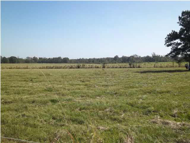 1351 Hall Road Forest, MS 39074 - Photo 7 of 18 Photo 7