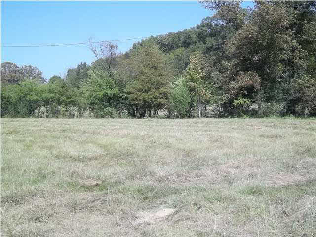 1351 Hall Road Forest, MS 39074 - Photo 10 of 18 Photo 10